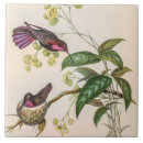 Suche nach kolibris fliesen Botanisch