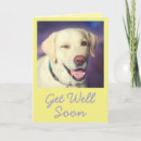 Suche nach lustige golden retriever karten Für sie