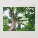 Suche nach costa postkarten Adventure
