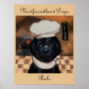 Suche nach hundefutter poster Hundepass