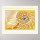 Suche nach nautilus seashell poster Übelkeit