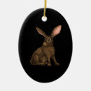 Suche nach kaninchens ornamente Niedlich