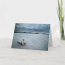 Suche nach wüste karten Natur