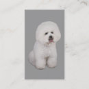 Suche nach bichon visitenkarten Frise