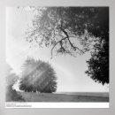 Suche nach ansel adams kunst poster Santa cruz