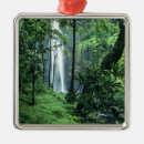 Suche nach küsten ornamente Niemand
