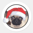 Suche nach weihnachtsmops Hund