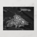 Suche nach tau postkarten Schwarz weiß