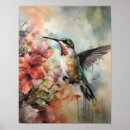 Suche nach vogelkunde poster Kolibri