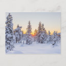 Suche nach nadelbaum postkarten Winter