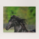 Suche nach black horse puzzle Kopfschuss