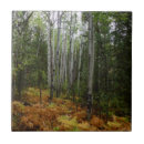 Suche nach birkenbaum fliesen Landschaft