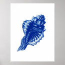 Suche nach muscheln poster Indigo
