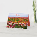 Suche nach lustige ostern karten Bunt