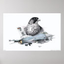 Suche nach f 16 poster Flugzeug