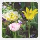 Suche nach rosa tulpen aufkleber Natur