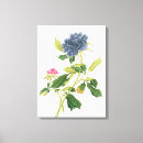Suche nach ehret poster Blumen