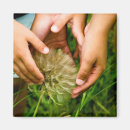 Suche nach wunder magnete Blume