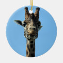 Suche nach sehr lustige giraffe ornamente Giraffen