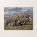 Suche nach afrikanischer elefant puzzle Farbbild