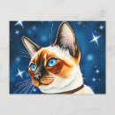Suche nach katzen nachts poster Haustier