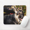 Suche nach german mousepads Haustiere