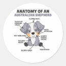 Suche nach anatomie aufkleber Hundebesitzer