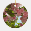 Suche nach kirschbaum ornamente Natur