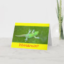 Suche nach geckos karten Hawaii