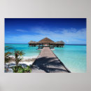 Suche nach maldives poster Tropisch