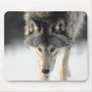 Suche nach graue wölfe mousepads Vertikal