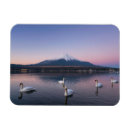Suche nach fuji magnete Vulkan