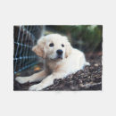 Suche nach sitzen decken Hund