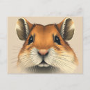 Suche nach gerbil poster Niedlich
