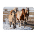 Suche nach laufen magnete Wildpferd