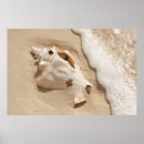 Suche nach türken poster Strand
