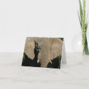 Suche nach pachyderm karten Stoßzähne