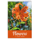 Suche nach rosa blumen kalender Wildblumen
