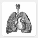 Suche nach vintage anatomie aufkleber Herz