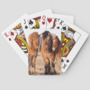 Suche nach isländisch spielkarten Equus caballus