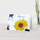 Suche nach weiße gänseblümchen karten Blumen