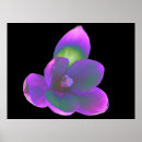 Suche nach mystic poster Drucke