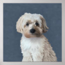 Suche nach blaue hunde poster Hundebesitzer
