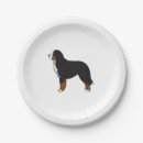 Suche nach bernese teller Tier