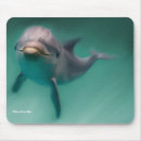 Suche nach delphine mousepads Natur