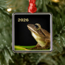 Suche nach fröschen ornamente Frosch