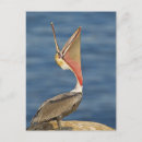 Suche nach mund offen postkarten Wildtiere