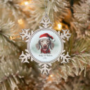Suche nach weimaraner ornamente Weihnachten