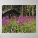 Suche nach cabin poster Holz
