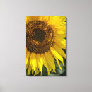 Suche nach sonnenblume leinwandbilder Rustikal